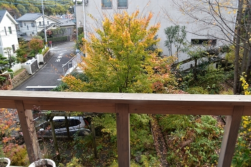 「緑でつながる庭づくり 秋編」開催しました!_c0124100_12343952.jpg