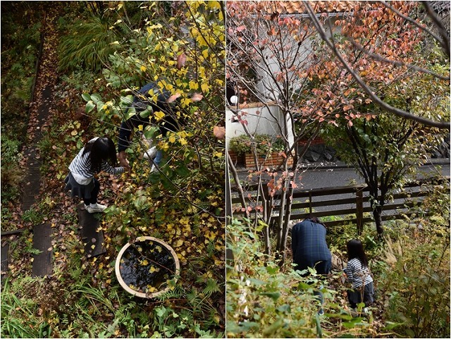 「緑でつながる庭づくり 秋編」開催しました!_c0124100_13051498.jpg