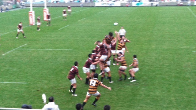ワールドカップ人気で雨でも秩父宮はほぼ満席 ラグビー早慶戦_f0141310_08093301.jpg