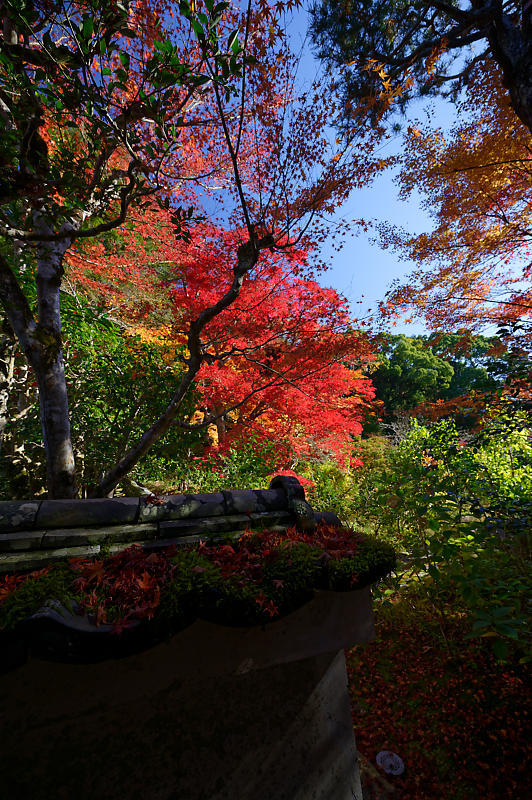 2019京都の紅葉・亀岡　内緒のお寺　其の一_f0032011_20152144.jpg