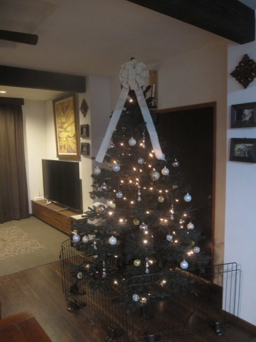 2回目のクリスマスツリー設営_e0350927_17035631.jpg