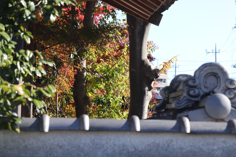 足立区の街散歩 430_a0214329_20472560.jpg