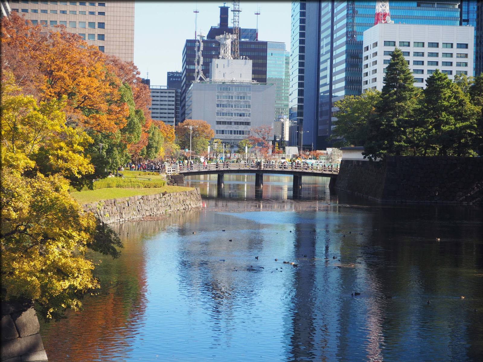 東京国立近代美術館で鏑木清方を観賞_b0054329_08264373.jpg