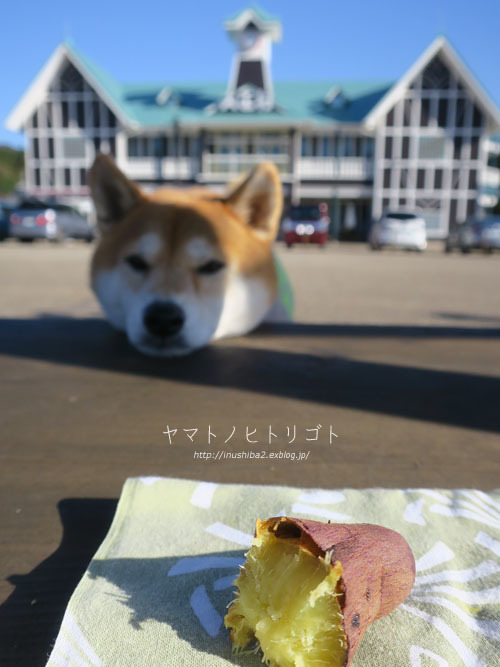 駅長さんのやきいも_e0394031_06165180.jpg