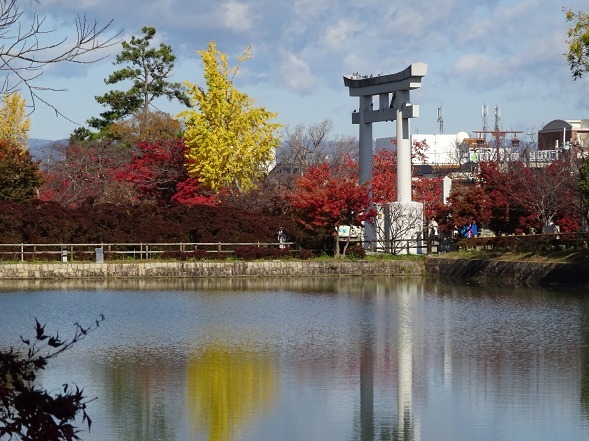 長岡天満宮の紅葉 彩の気まぐれ写真