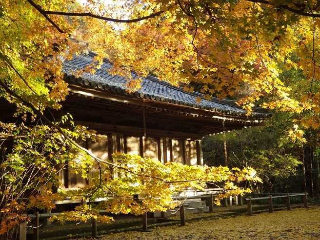 富貴寺の紅葉 信ちゃんの美夜古たより