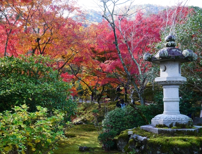 　　嵯峨・嵐山めぐり ３　天龍寺　　２０２３-１１-２５　００：００_b0093754_22005894.jpg