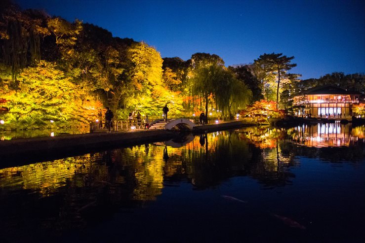 徳川園のライトアップ 尾張名所図会を巡る