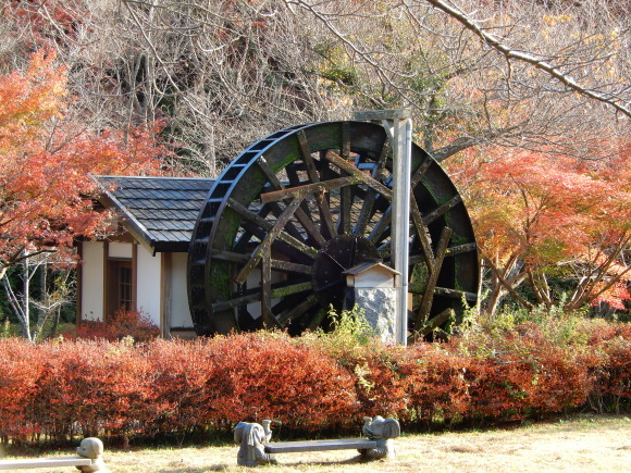 両子寺の紅葉 里山の日々2