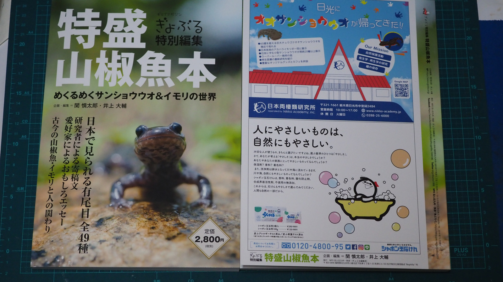 特盛山椒魚本ぎょぶるが出ました。 : 北のフィールドノート