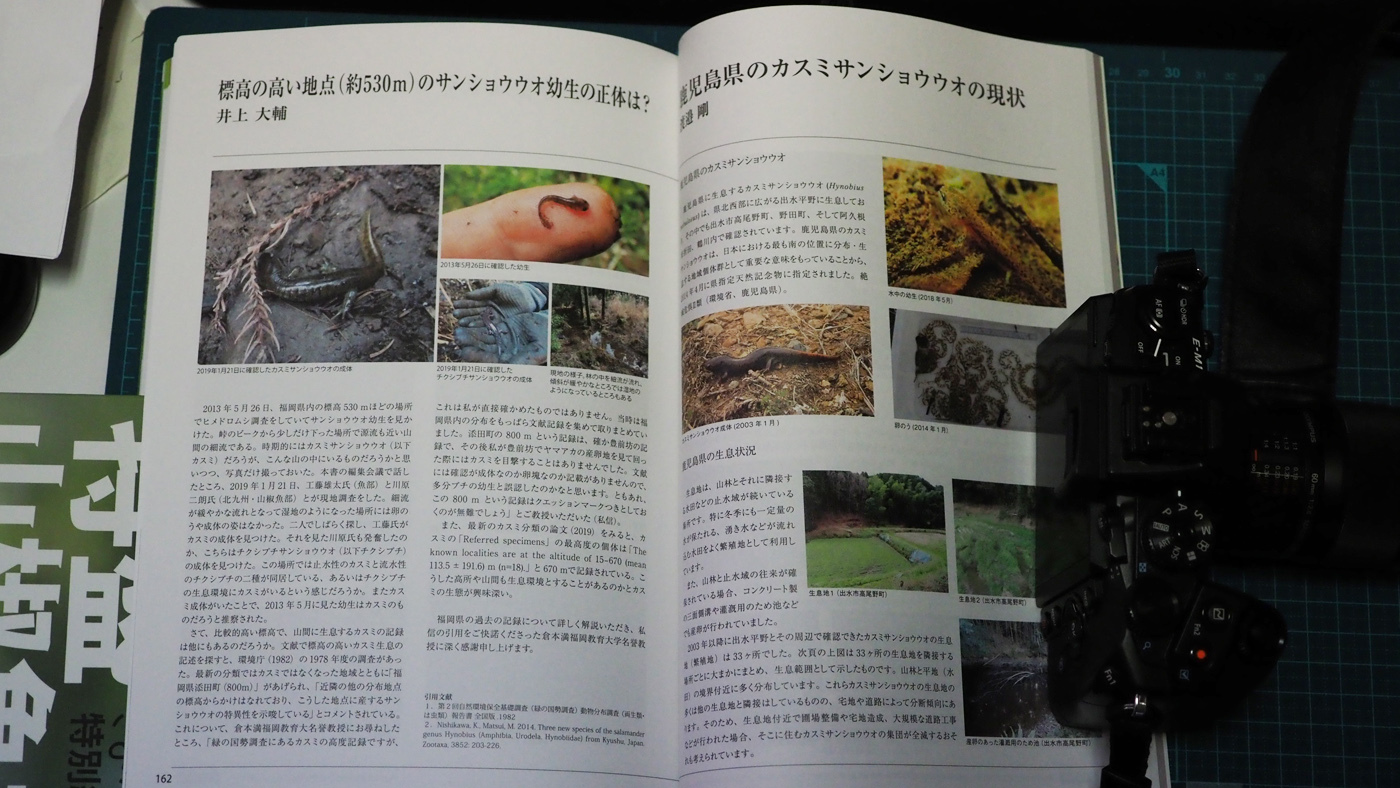 特盛山椒魚本ぎょぶるが出ました。 : 北のフィールドノート