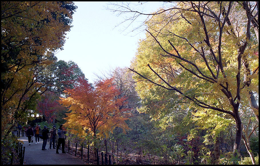 本土寺　-8_b0340572_20473535.jpg