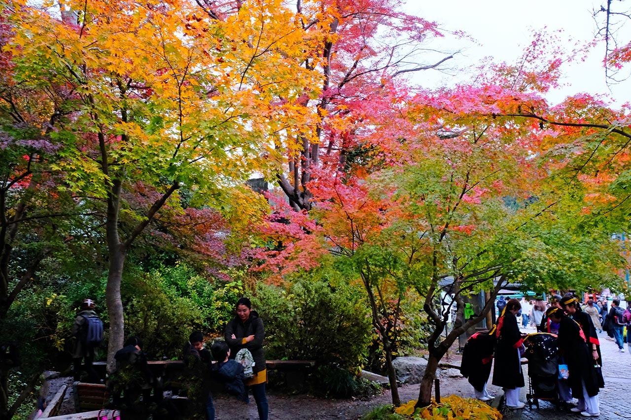 紅葉・黄葉（高尾山）_e0096372_10193122.jpg