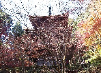 f0003283_08220662.jpg