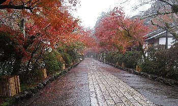 12月2日「石山寺、三井寺」_f0003283_09222555.jpg