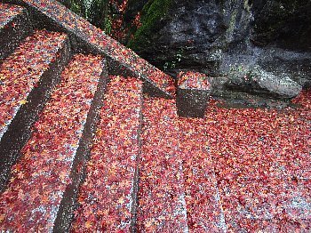 12月2日「石山寺、三井寺」_f0003283_09223633.jpg
