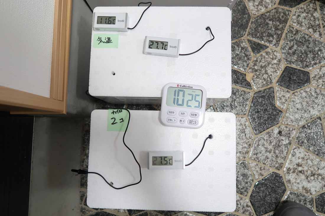 【冬の発送・保温実験してみました 】６０サイズ発泡ケースで保温実験【カイロ１個と２個の比較、水温を監視】_f0345888_23355610.jpg