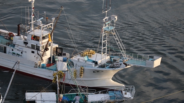 サンマの不漁が食卓を寂しくする。多獲性魚類の美味しさと健康への寄与、サンマ、いわし、サバは大切な栄養剤_d0181492_00382444.jpg