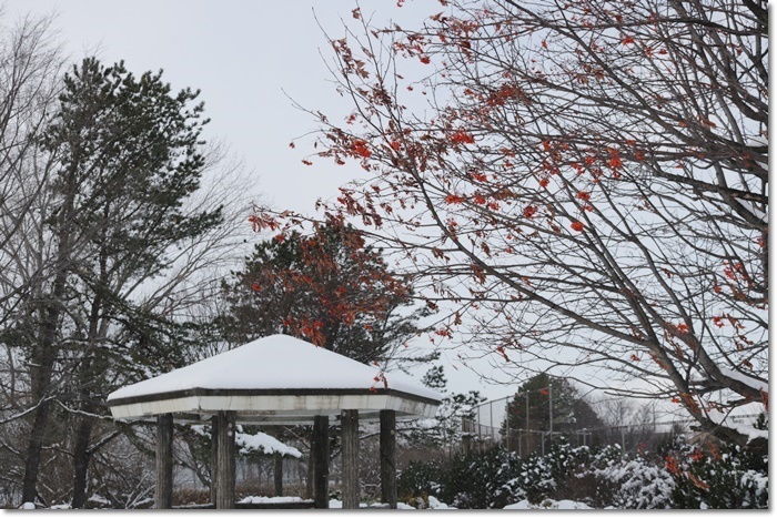 f0146493_22273422.jpg