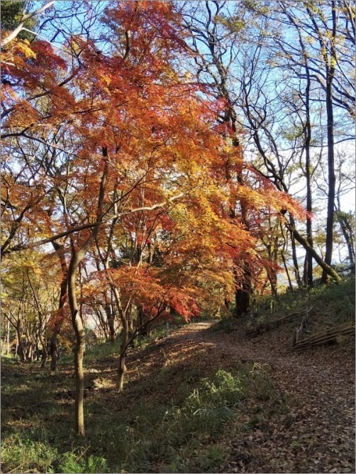 雪入山・浅間山（茨城県土浦）_b0086909_18001605.jpg