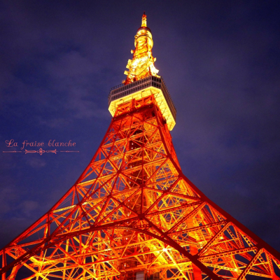 と或る日の『Candle tower』_d0361125_23455753.jpg