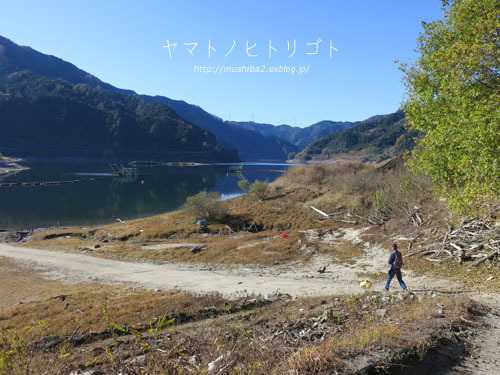 奥矢作湖の紅葉 Yamatoのひとりごと 奥矢作湖の紅葉 Yamatoのひとりごと