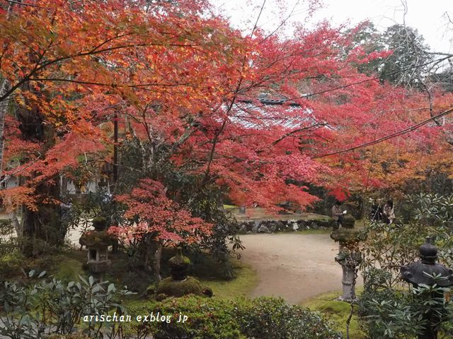 西明寺＠２０１９京都の紅葉_e0406439_19200854.jpg