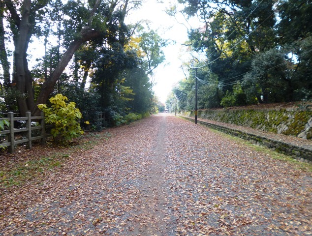 e0230141_21062864.jpg
