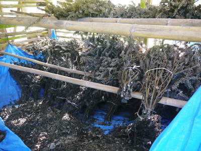 熊本県立菊池高等学校の生徒さんたちが研修にやってきました!(2019/前編)_a0254656_18232753.jpg
