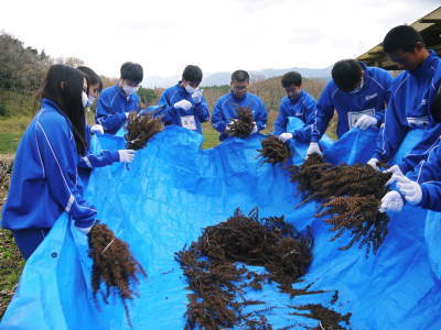 熊本県立菊池高等学校の生徒さんたちが研修にやってきました!(2019/前編)_a0254656_18250450.jpg