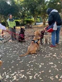 野川公園パックウォーク開催しました\(^o^)/_c0372561_00241959.jpeg