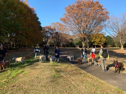 野川公園パックウォーク開催しました\(^o^)/_c0372561_01002756.jpg
