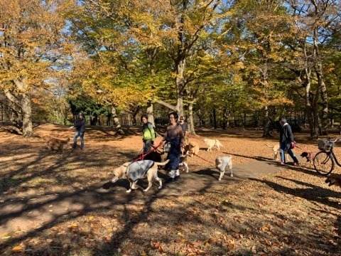 野川公園パックウォーク開催しました\(^o^)/_c0372561_01003147.jpg