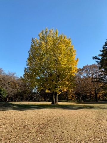 野川公園パックウォーク開催しました\(^o^)/_c0372561_01003256.jpg