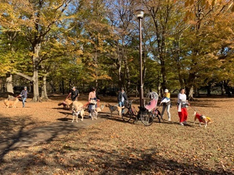 野川公園パックウォーク開催しました\(^o^)/_c0372561_01003691.jpg