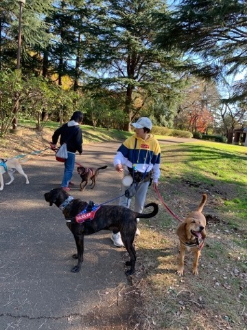 野川公園パックウォーク開催しました\(^o^)/_c0372561_01004641.jpg