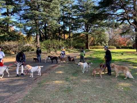 野川公園パックウォーク開催しました\(^o^)/_c0372561_01004673.jpg