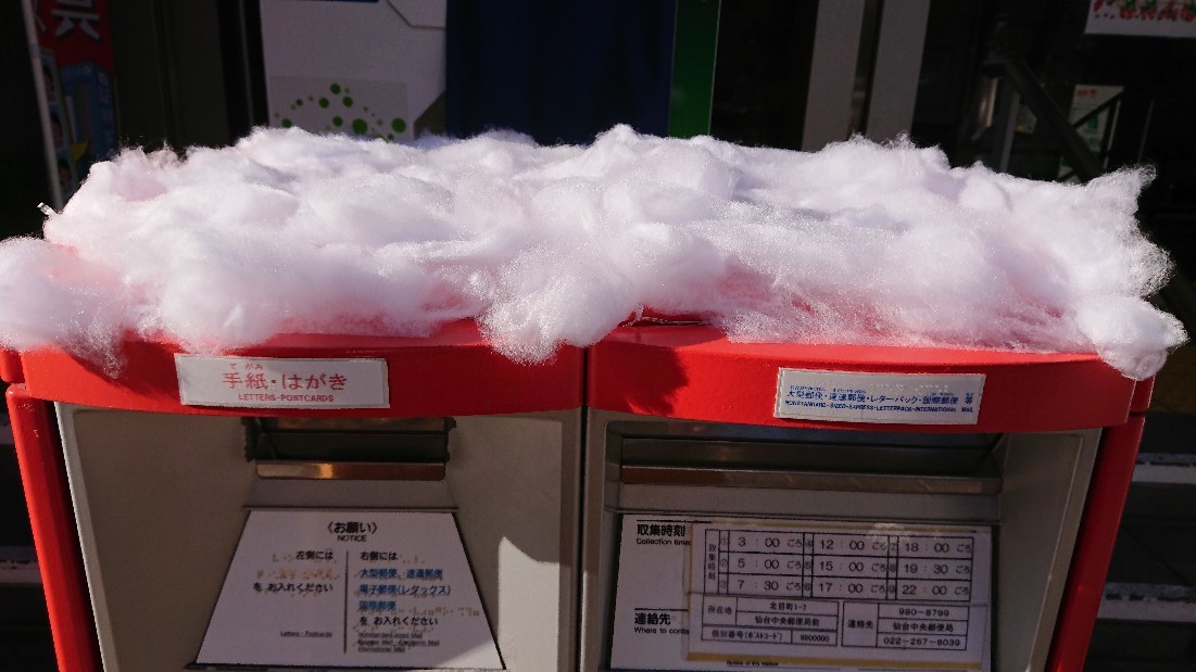 かぶ 「好奇心というアンテナを立てよう」_b0124466_05184642.jpg