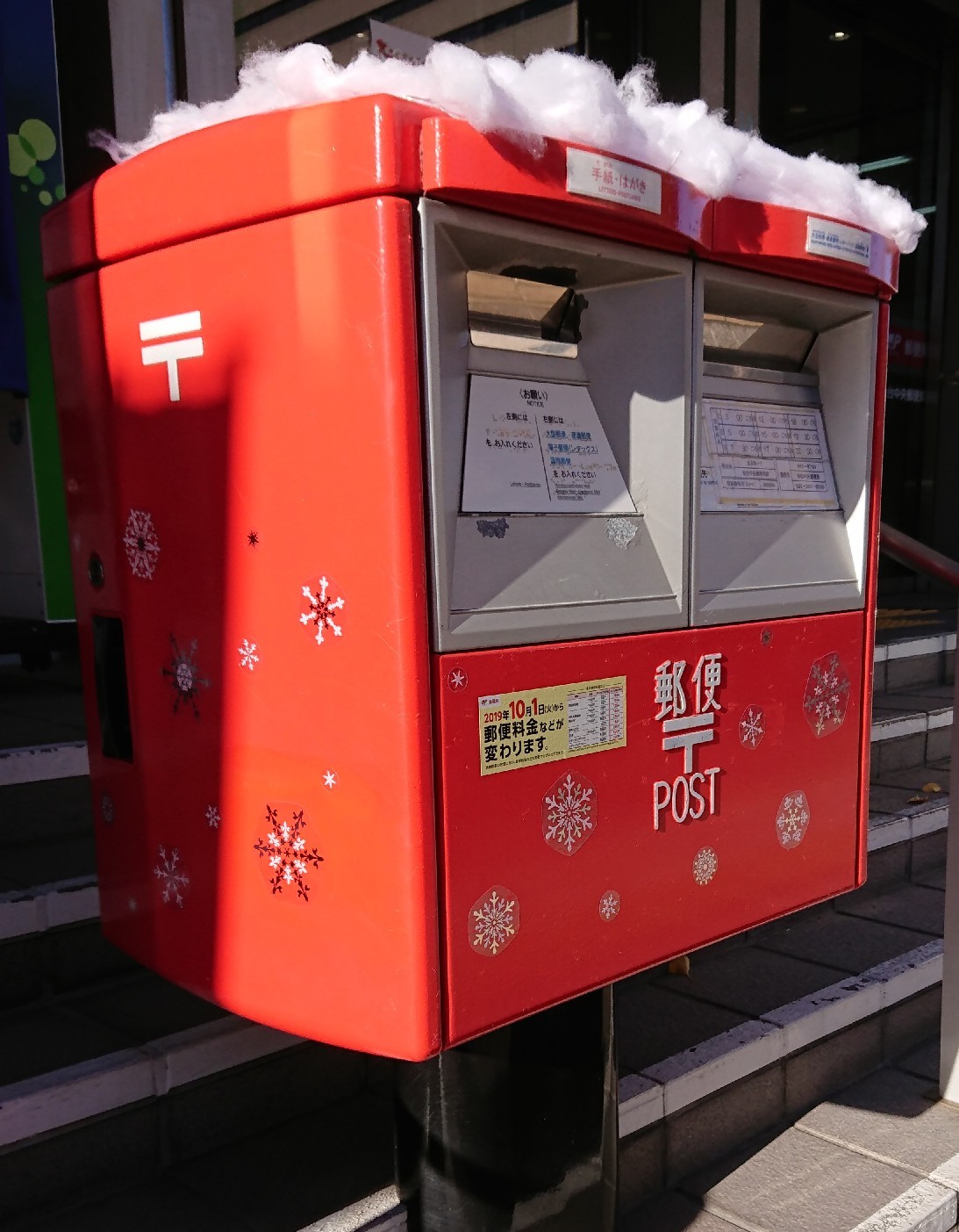 かぶ 「好奇心というアンテナを立てよう」_b0124466_05184777.jpg