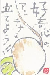 かぶ 「好奇心というアンテナを立てよう」_b0124466_06283868.jpg