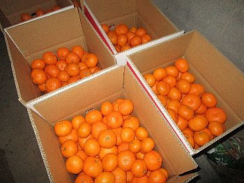 f0003283_06292666.jpg