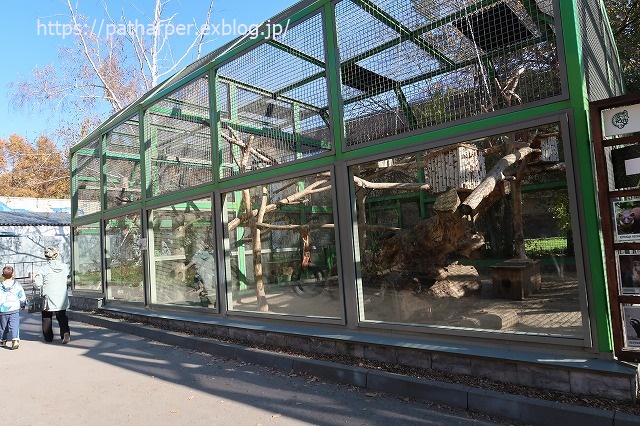 ２０１９年１０月　ノボシビルスク動物園　その１８_a0052986_7143069.jpg