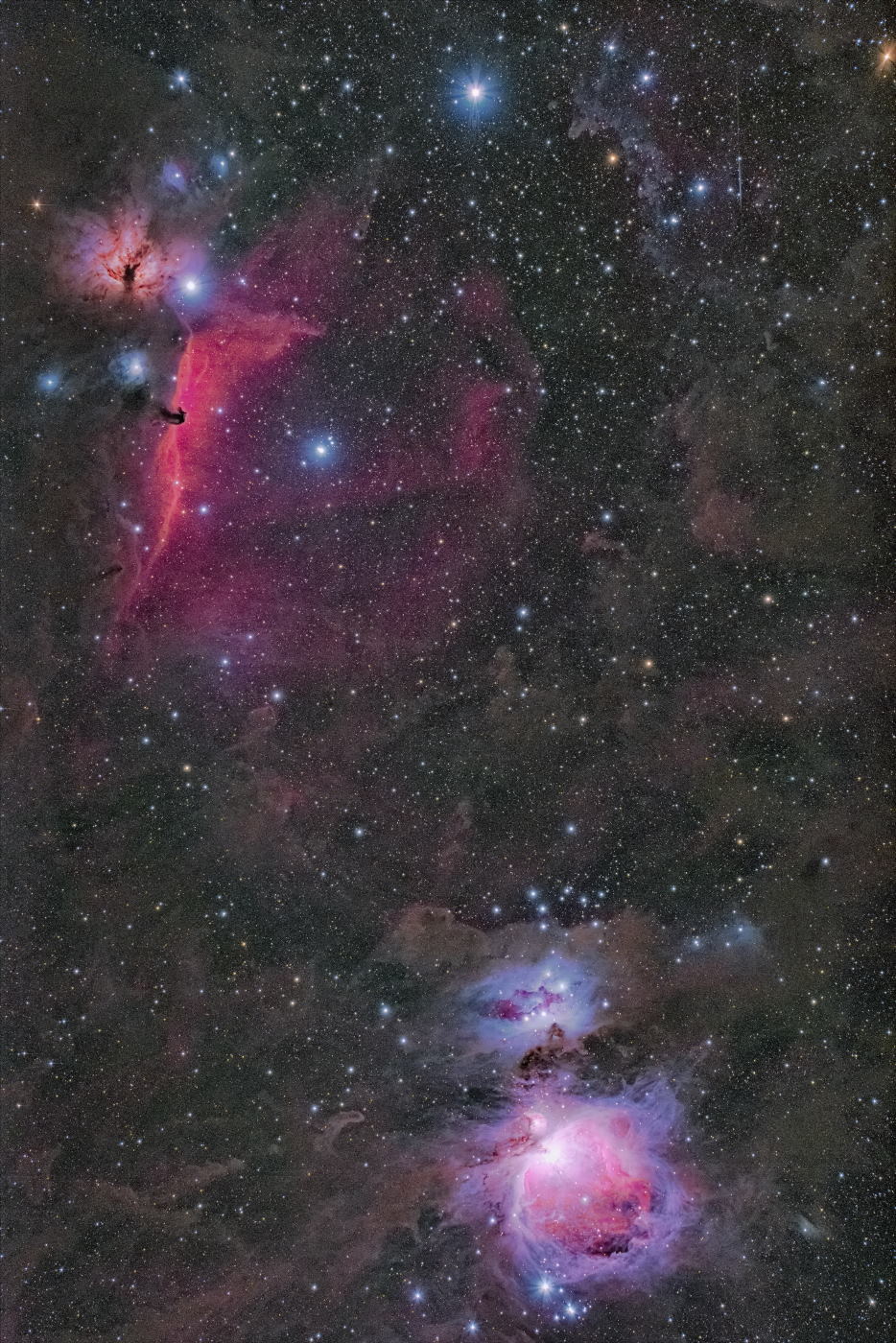 星ナビ 1月号に入選しました_d0251387_18321904.jpg