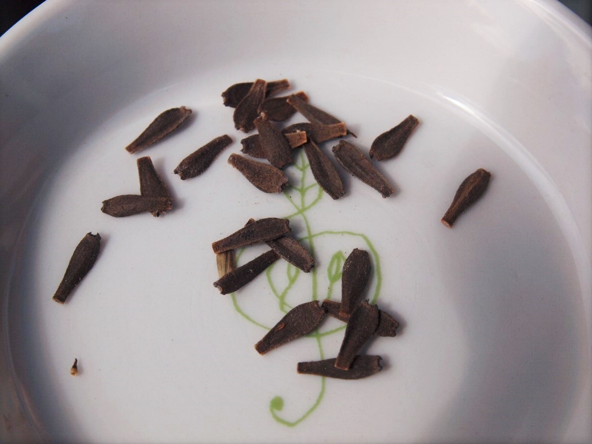 ダリア種子 Flowers