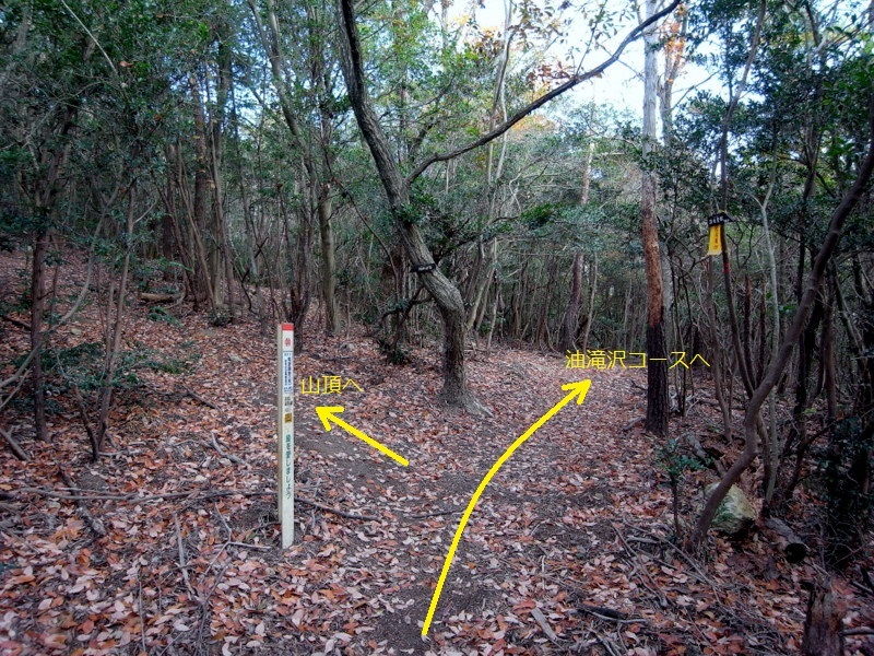 熊山登山 油滝沢から未踏のルートを登る！の巻_f0325295_14581519.jpg