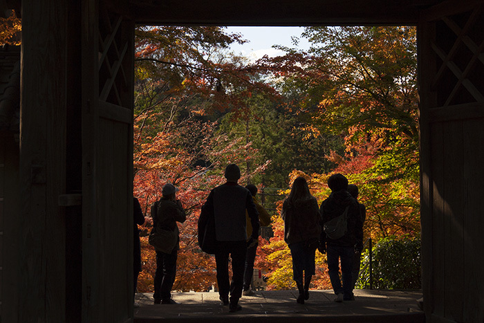 北鎌倉・円覚寺の紅葉が見頃です_b0145398_22485497.jpg