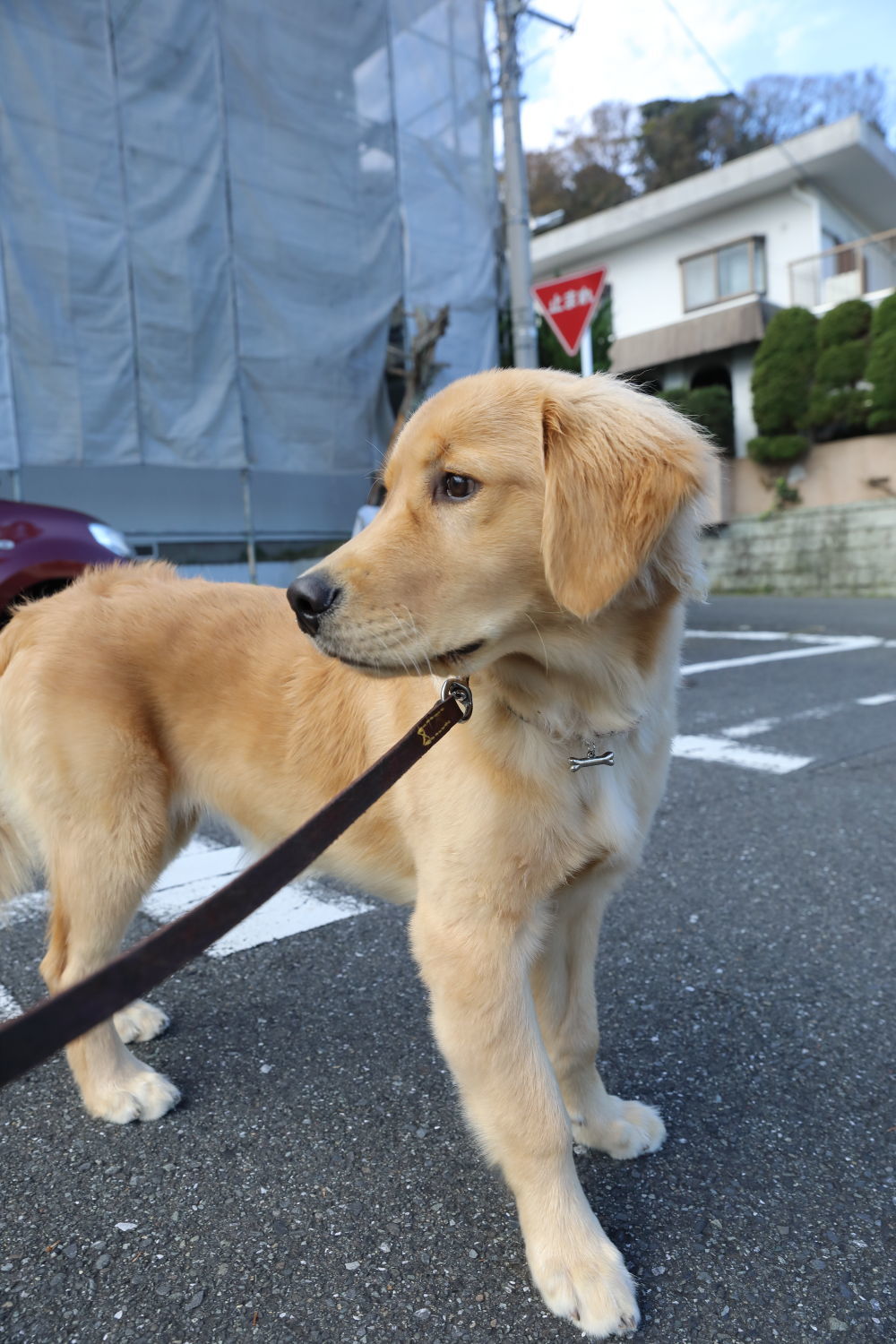 長いツル♪_b0275998_09321423.jpg
