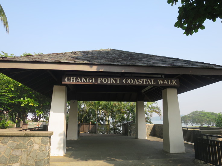 チャンギビーチパークうろうろ(前半)_c0212604_17505848.jpg
