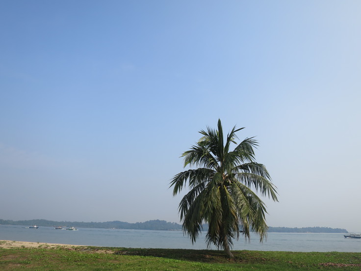 チャンギビーチパークうろうろ(前半)_c0212604_1753483.jpg