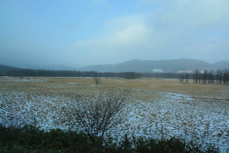 新幹線で北海道へ(5)帯広_a0148206_10310177.jpg